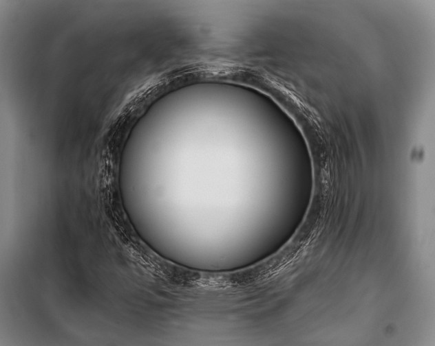 X0000100941447200807011234