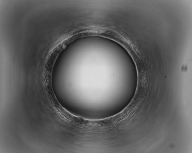 X0000100941448200807011234