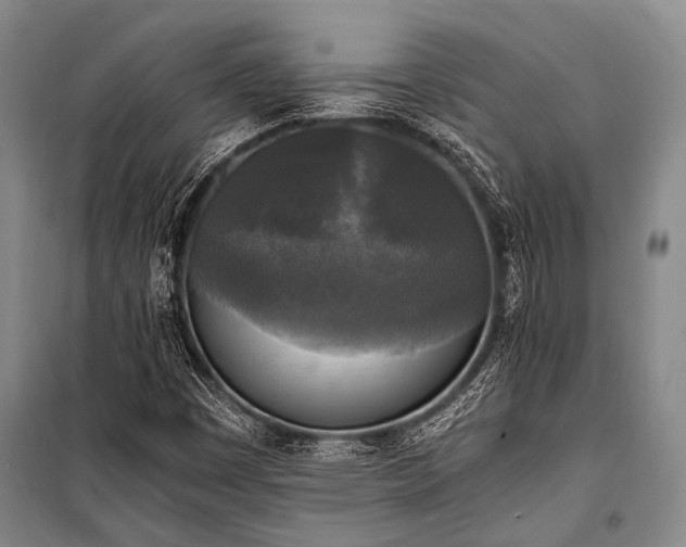 X0000100941449200807011234