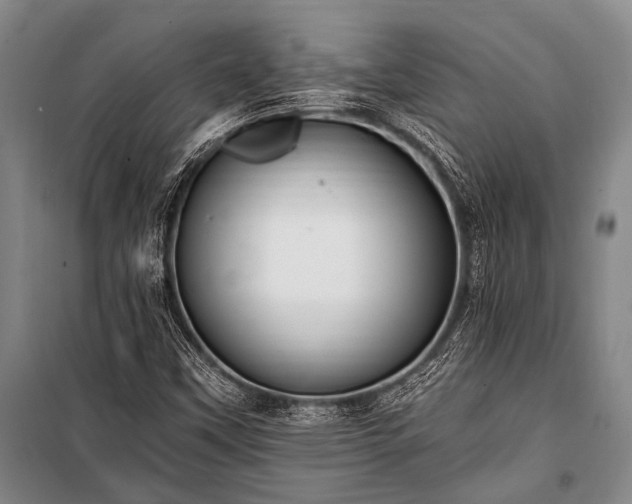 X0000100941451200807011234