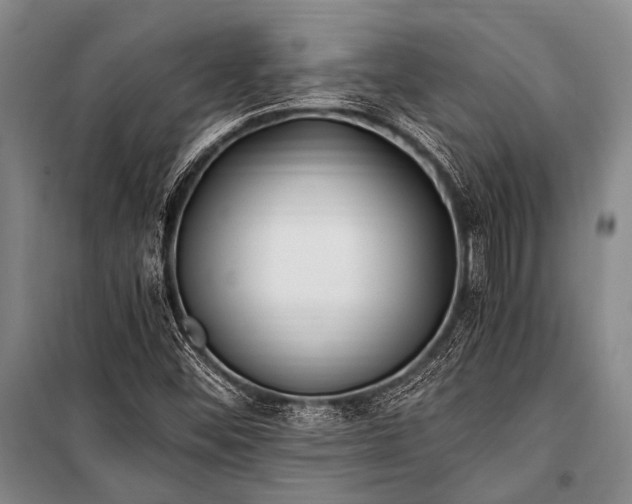 X0000100941452200807011234