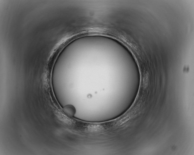 X0000100941454200807011234