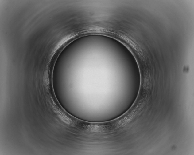 X0000100941458200807011233