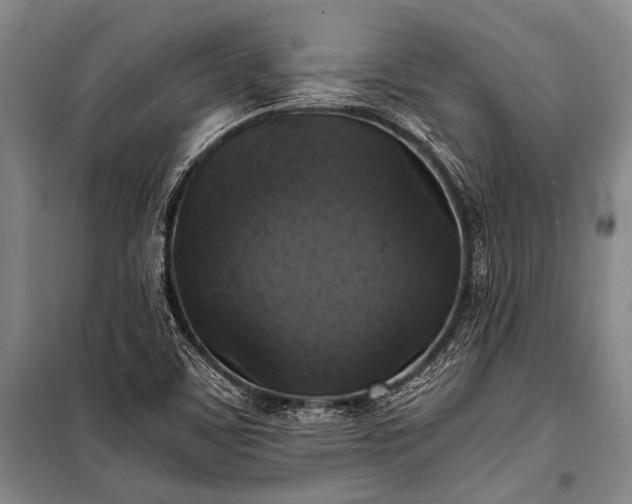 X0000100941459200807011233