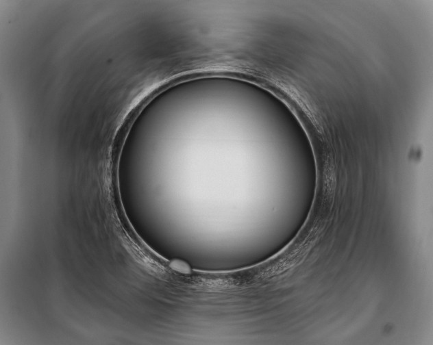 X0000100941460200807011233