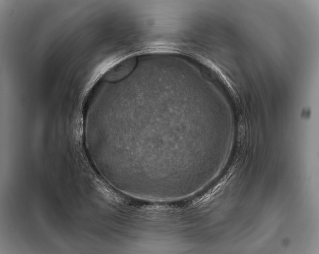 X0000100941461200807011233