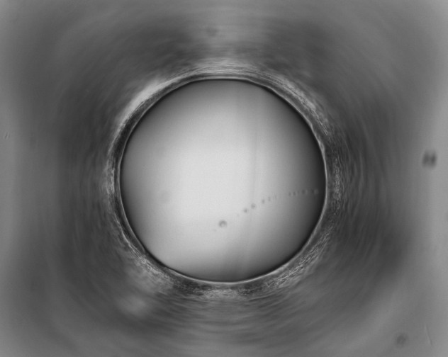 X0000100941462200807011233
