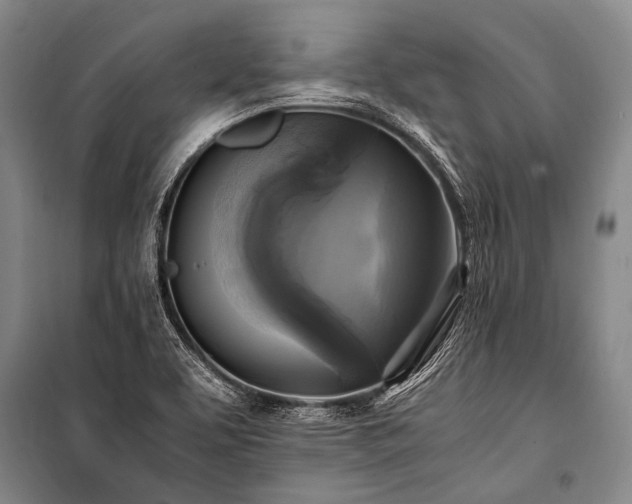 X0000100941463200807011233
