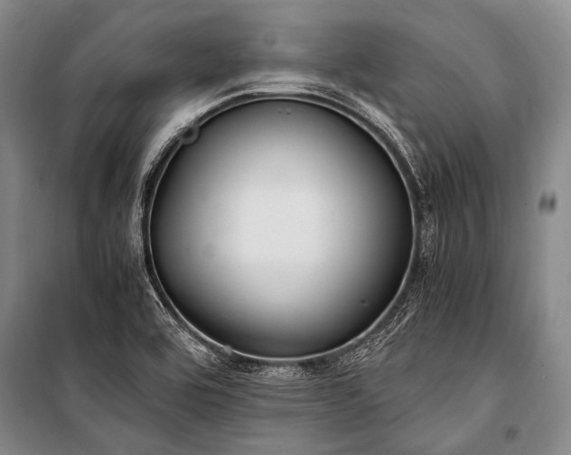 X0000100941464200807011233