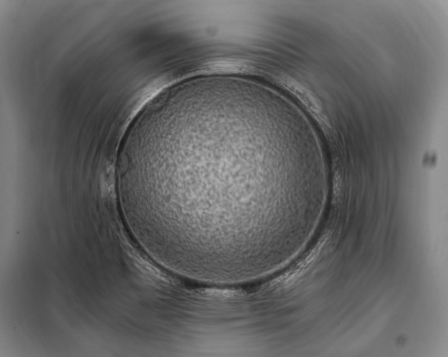 X0000100941465200807011233
