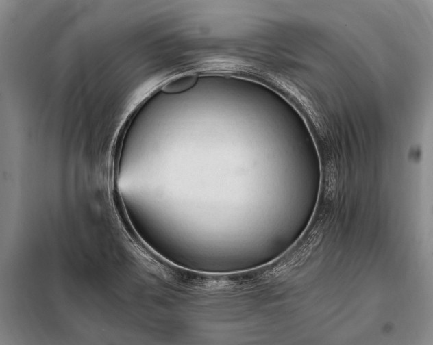 X0000100941467200807011233