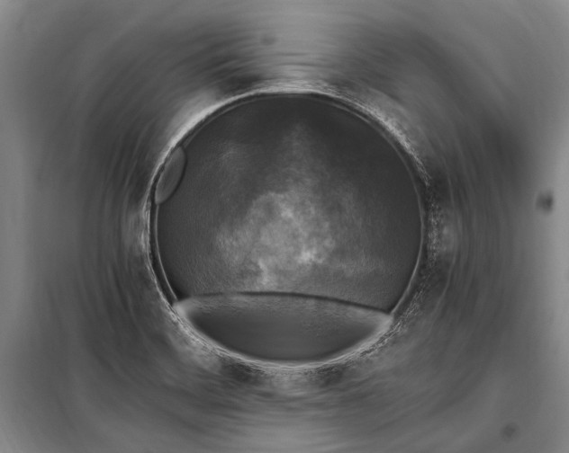 X0000100941468200807011233