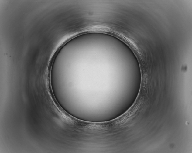 X0000100941470200807011233