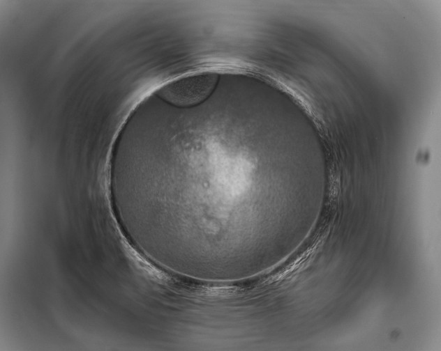 X0000100941471200807011233