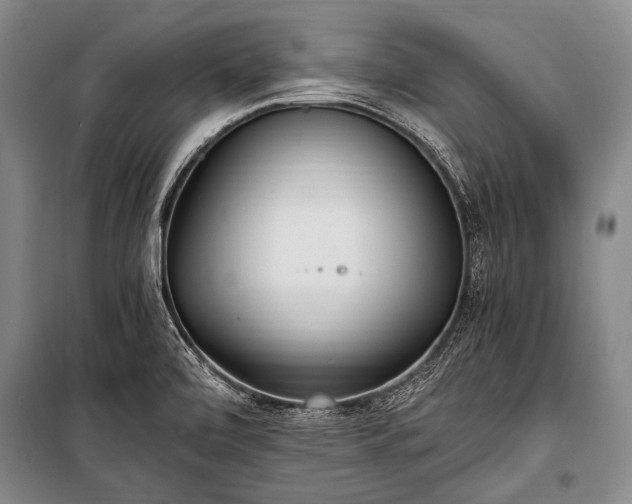 X0000100941472200807011233