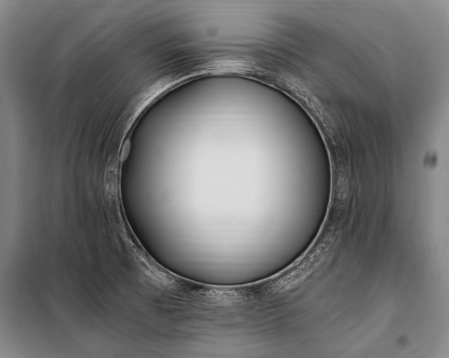 X0000100941473200807011233