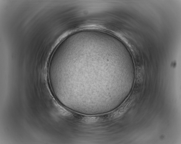 X0000100941474200807011233