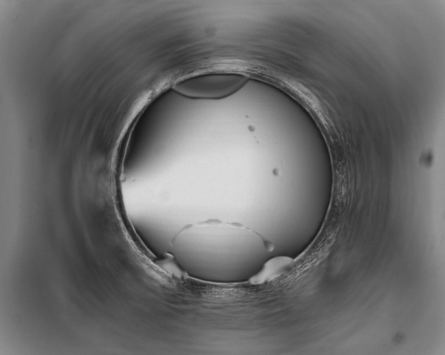 X0000100941475200807011233