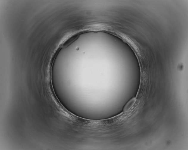 X0000100941477200807011233