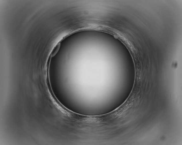 X0000100941479200807011233