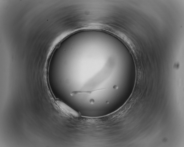 X0000100941480200807011233