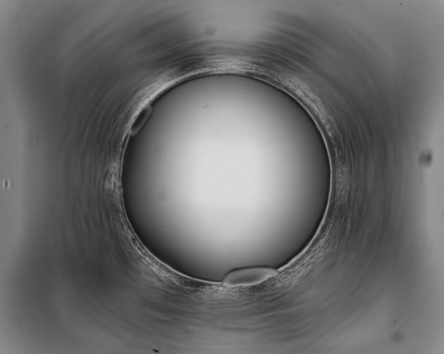 X0000100941481200807011233