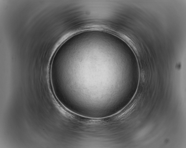X0000100941482200807011233