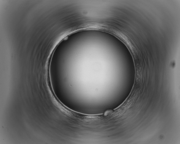 X0000100941483200807011233