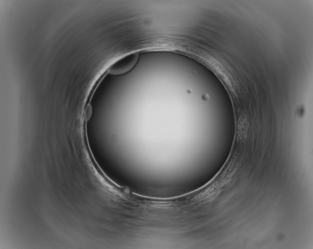 X0000100941484200807011233