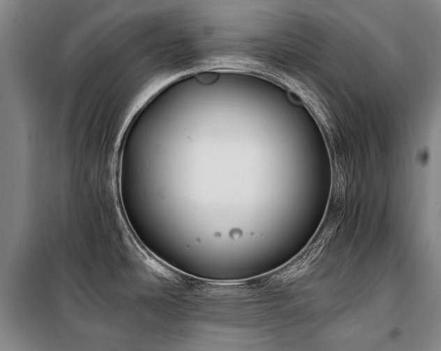 X0000100941486200807011233