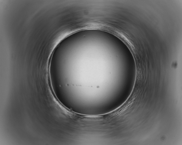 X0000100941487200807011233