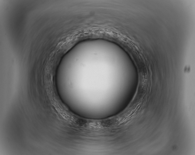 X0000100941489200807011232