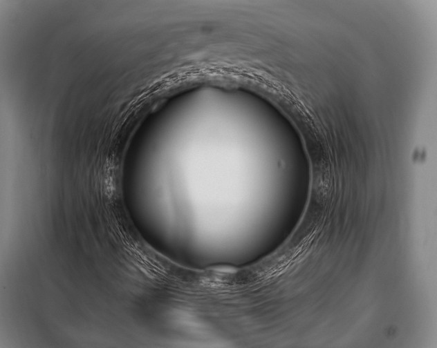 X0000100941490200807011232