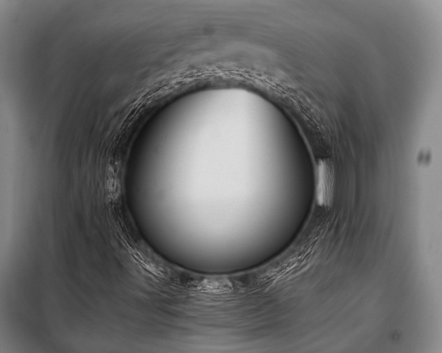 X0000100941491200807011232