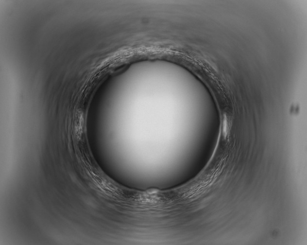 X0000100941492200807011232