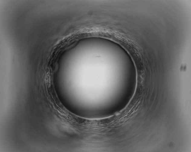 X0000100941493200807011232