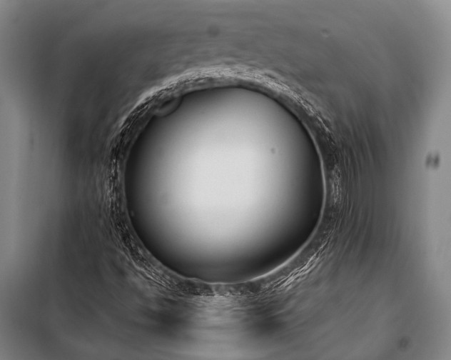 X0000100941494200807011232
