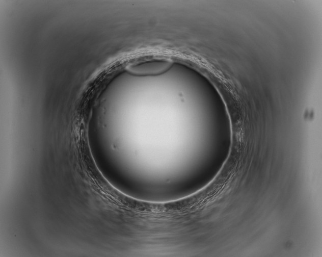 X0000100941495200807011232