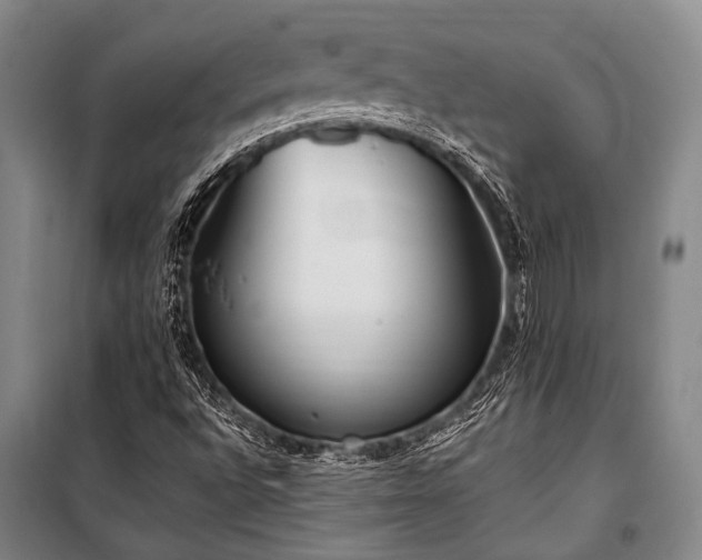 X0000100941496200807011232