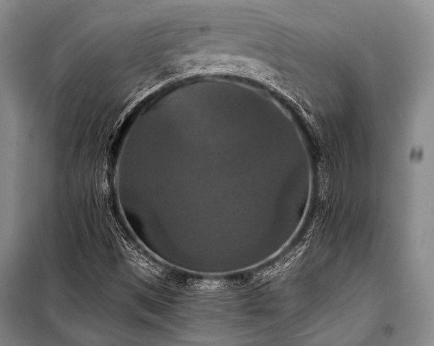 X0000100941497200807011232