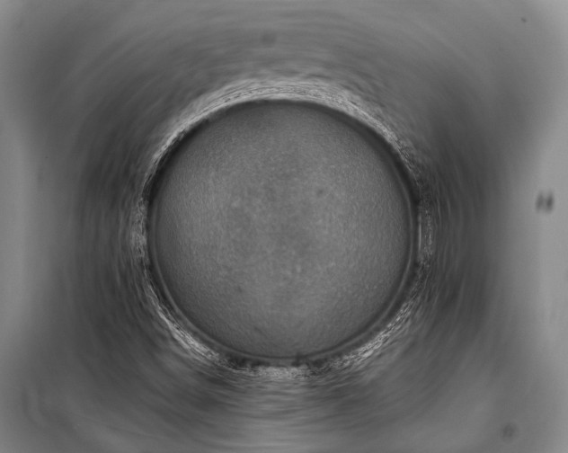 X0000100941498200807011232