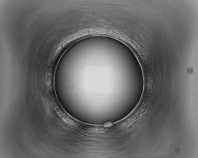X0000100941499200807011232