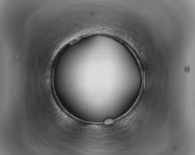 X0000100941500200807011232