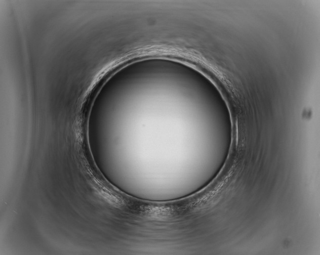 X0000100941501200807011232