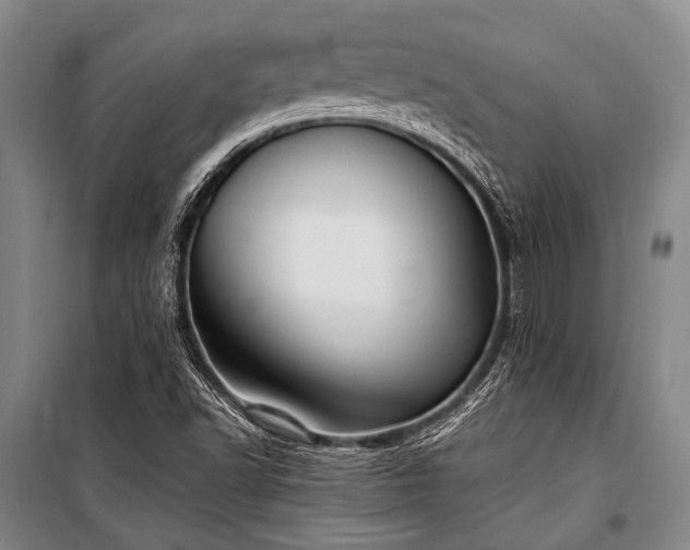 X0000100941502200807011232