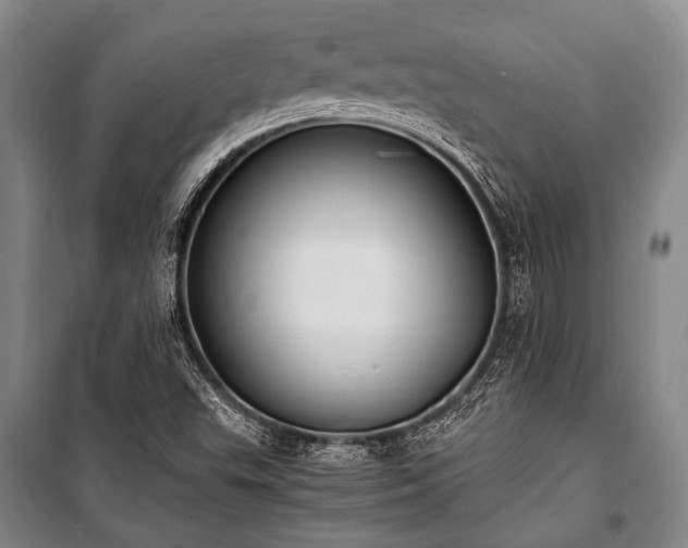 X0000100941503200807011232