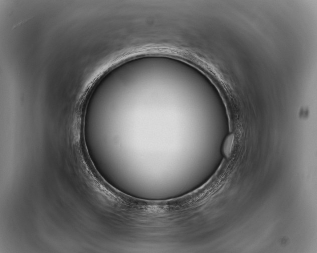 X0000100941504200807011232