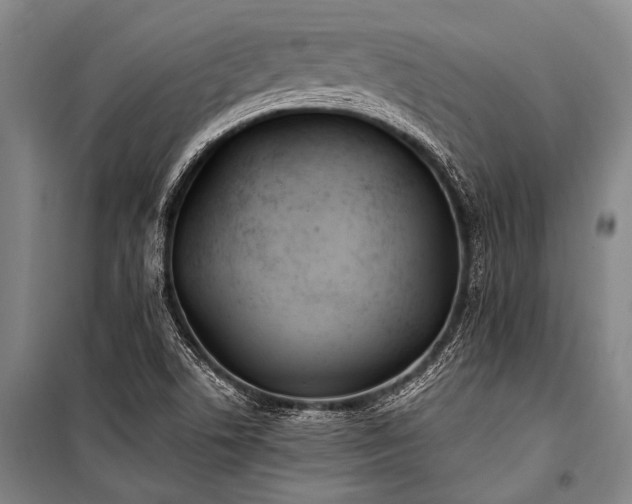 X0000100941506200807011232