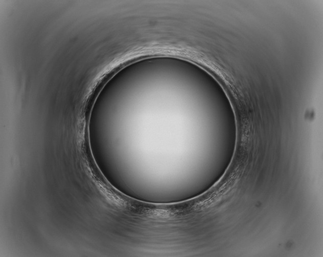 X0000100941507200807011232