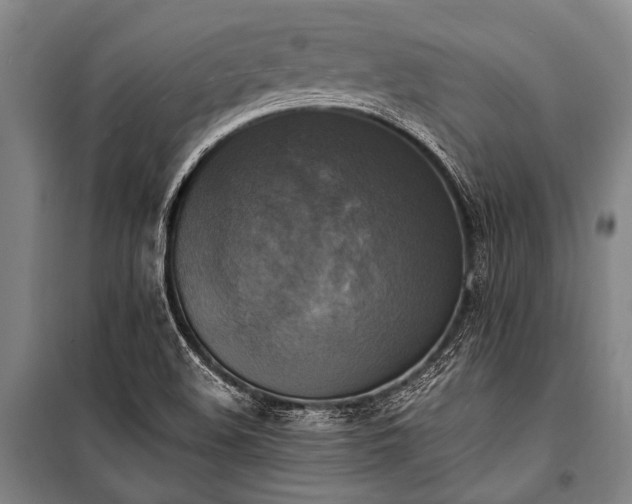 X0000100941508200807011232